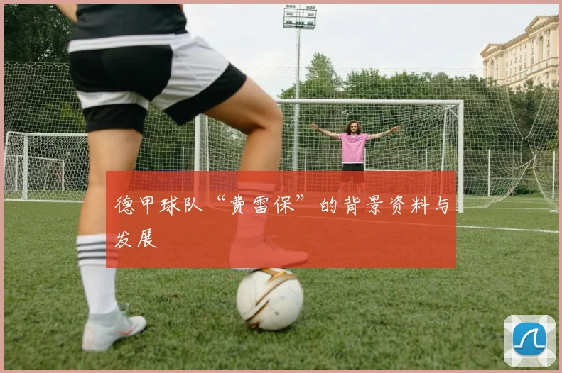 德甲球队“费雷保”的背景资料与发展
