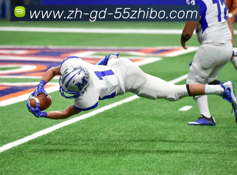 55直播平台生态图