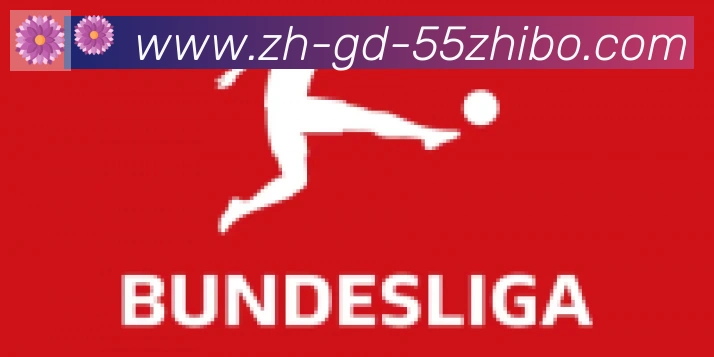 55直播合作伙伴